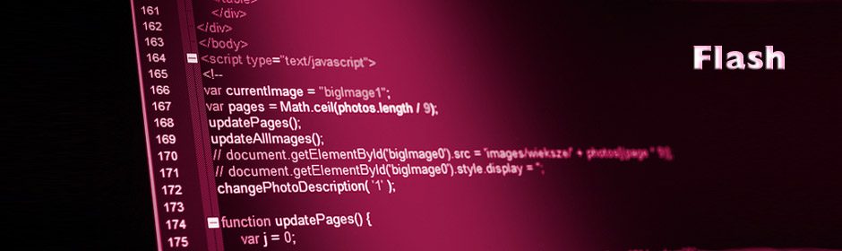 Flash Entwicklung
